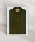 Premium Panjabi 2604