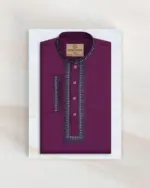 Premium Panjabi 2631