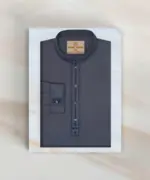 Platinum Panjabi 2811