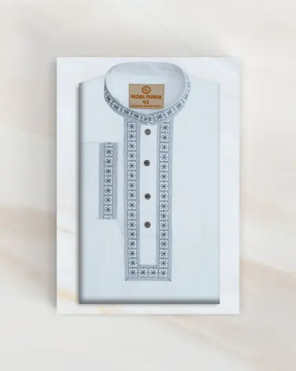 Premium Panjabi 2633