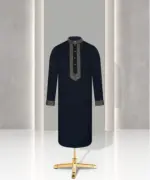 Premium Panjabi 2641 - Image 2