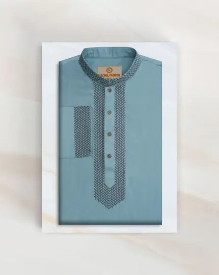 Premium Panjabi 2642