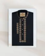 Premium Panjabi 2615